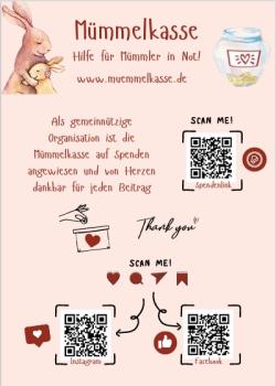 Mümmelkasse Flyer